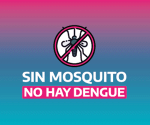 Imagen Dengue